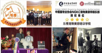 寵物美容培訓(xùn)學(xué)校包分配工作免費(fèi)贈(zèng)送工具